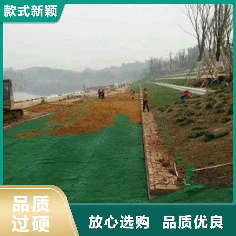 三维植被网玻璃纤维土工格栅用品质说话