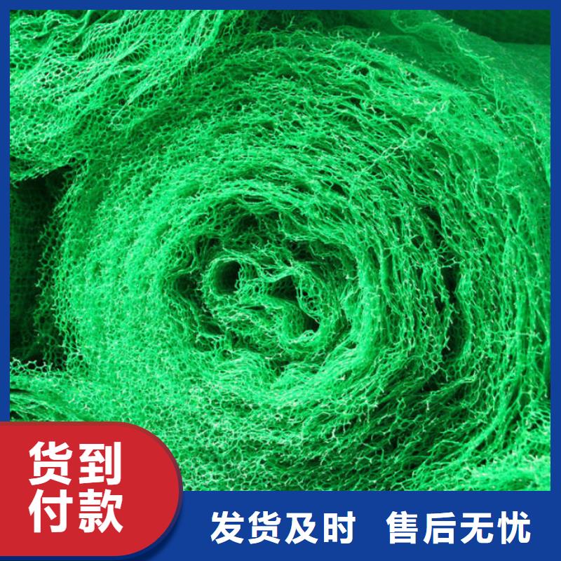 三维植被网_【单向塑料土工格栅】敢与同行比价格