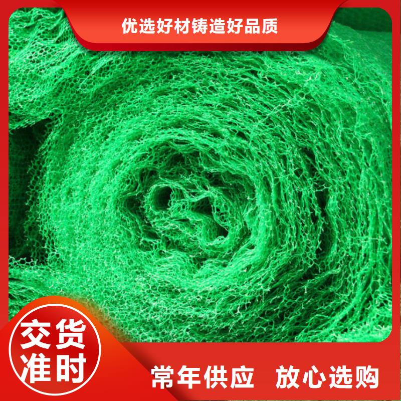 三维植被网玻璃纤维土工格栅用品质说话