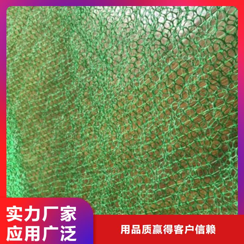 三维植被网生产厂家-2025年新价格行情