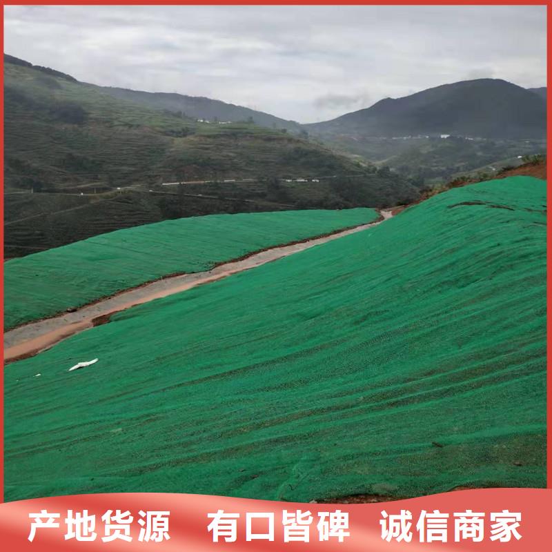 三维植被网玻璃纤维土工格栅用品质说话