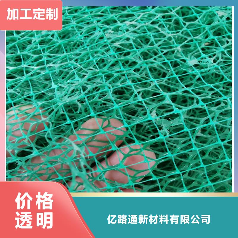 三维植被网厂家_规格齐全
