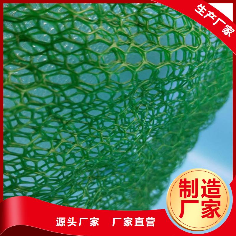 三维植被网生产厂家-2025年新价格行情