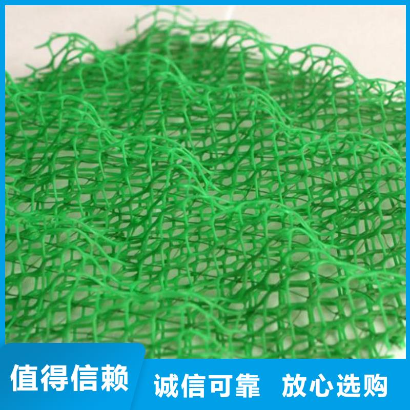 三维植被网厂家_规格齐全