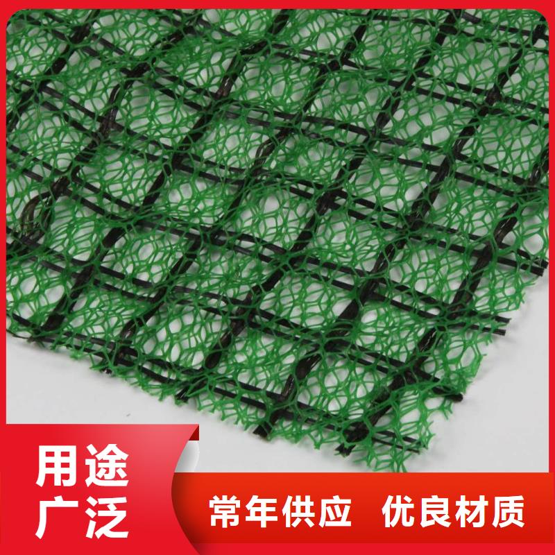三维植被网生产厂家-2025年新价格行情