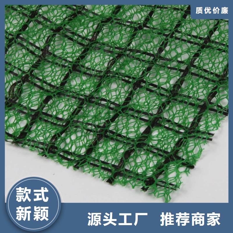 三维植被网厂家_规格齐全