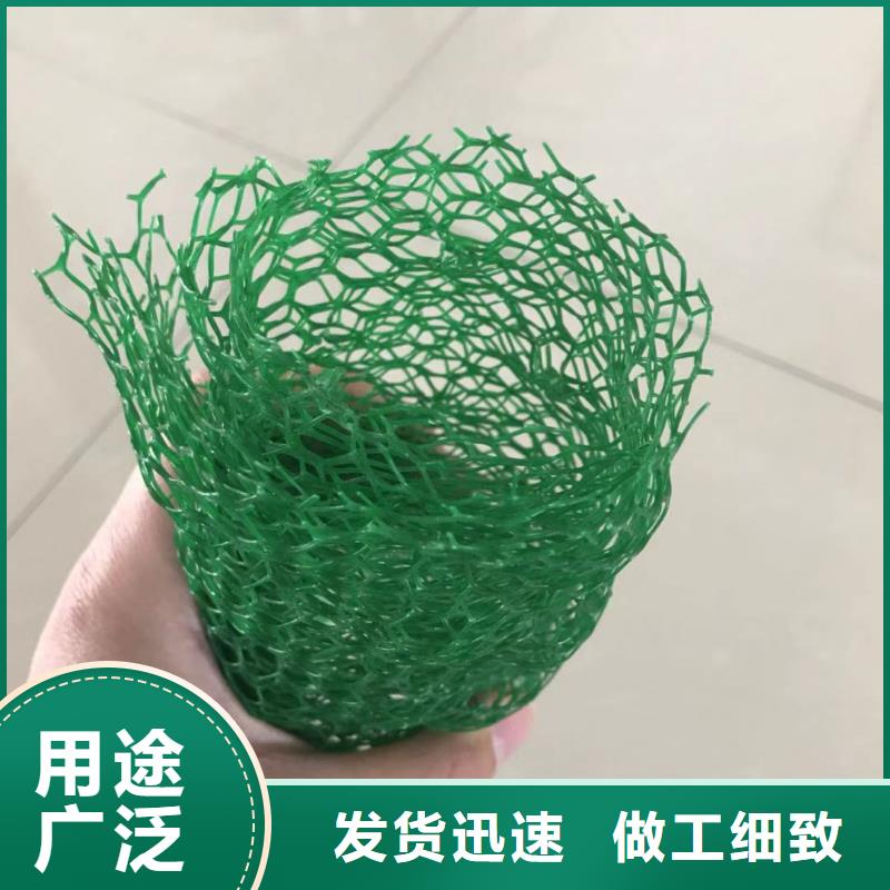 维植被网植草护坡施工方案三维植被网生产设备厂家_报价多少钱？