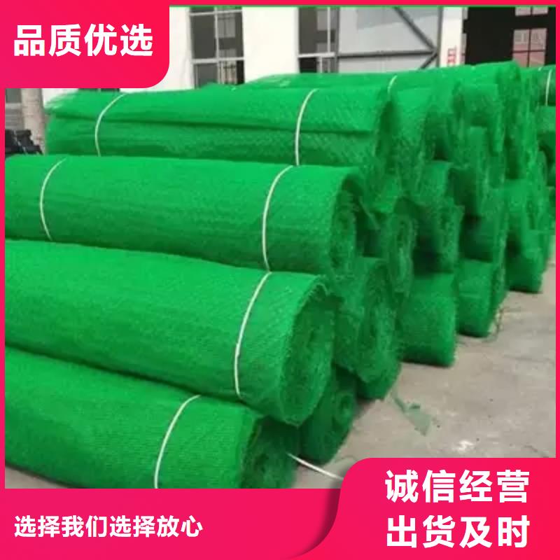 三维植被网厂家_规格齐全
