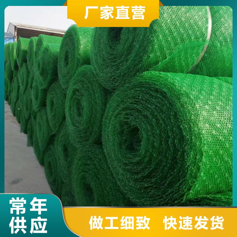 三维植被网玻璃纤维土工格栅用品质说话