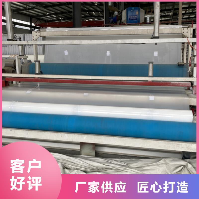 EVA防水板-钢塑土工格栅厂家实体厂家大量现货