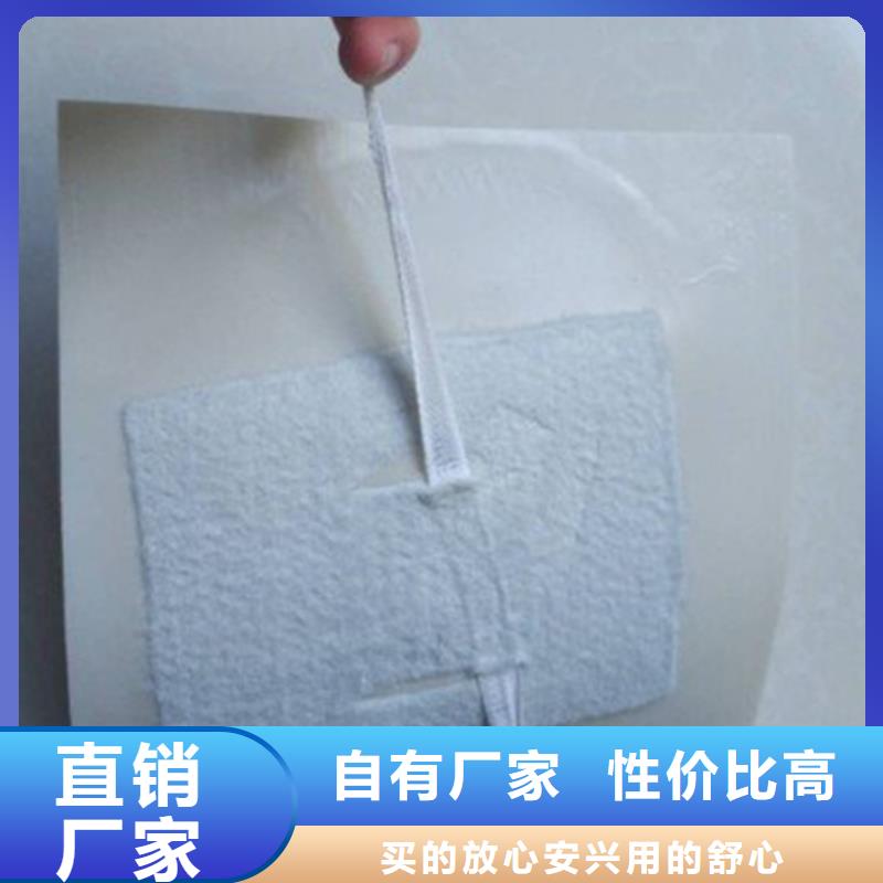 EVA防水板-钢塑土工格栅厂家实体厂家大量现货