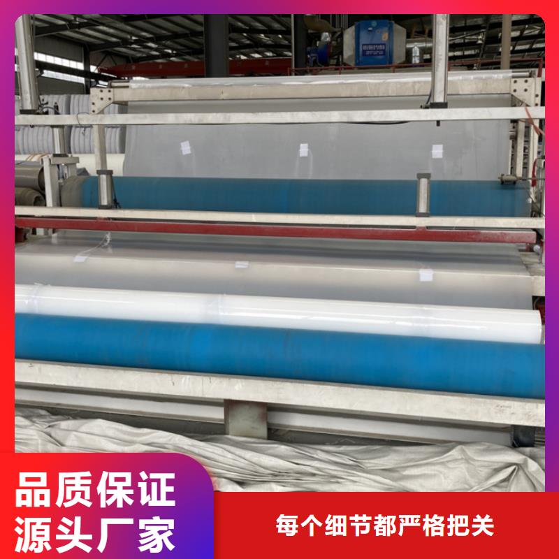 EVA防水板-钢塑土工格栅厂家实体厂家大量现货