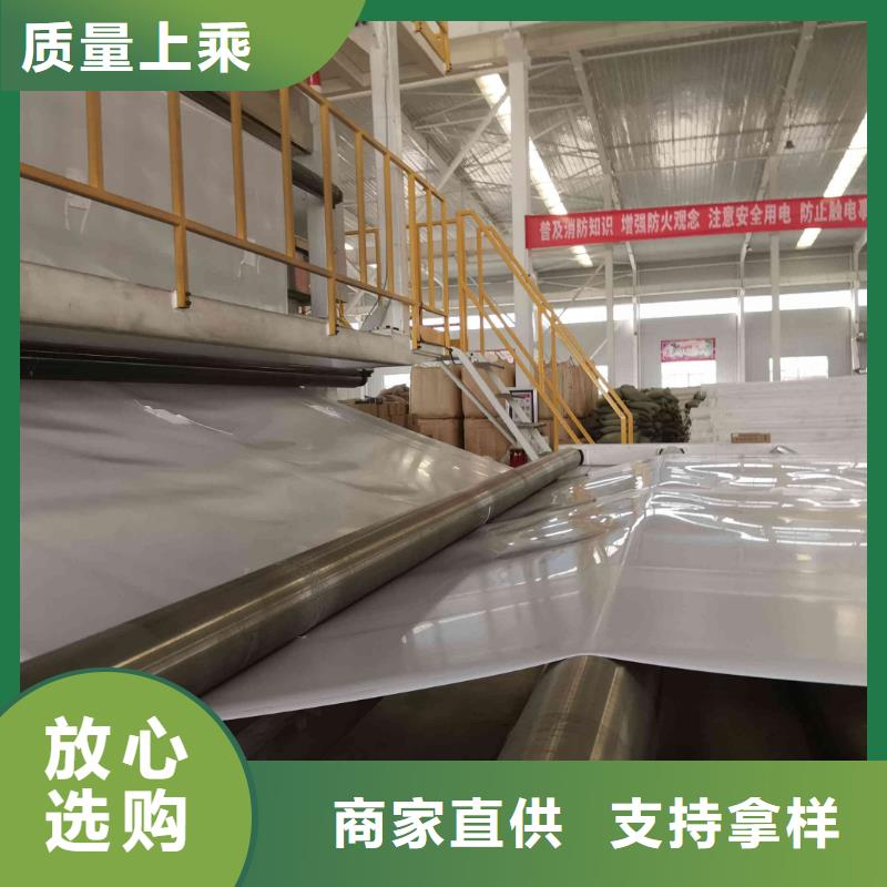 EVA防水板-钢塑土工格栅厂家实体厂家大量现货