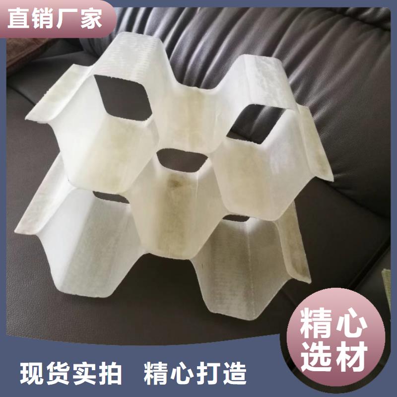 斜管填料
指导