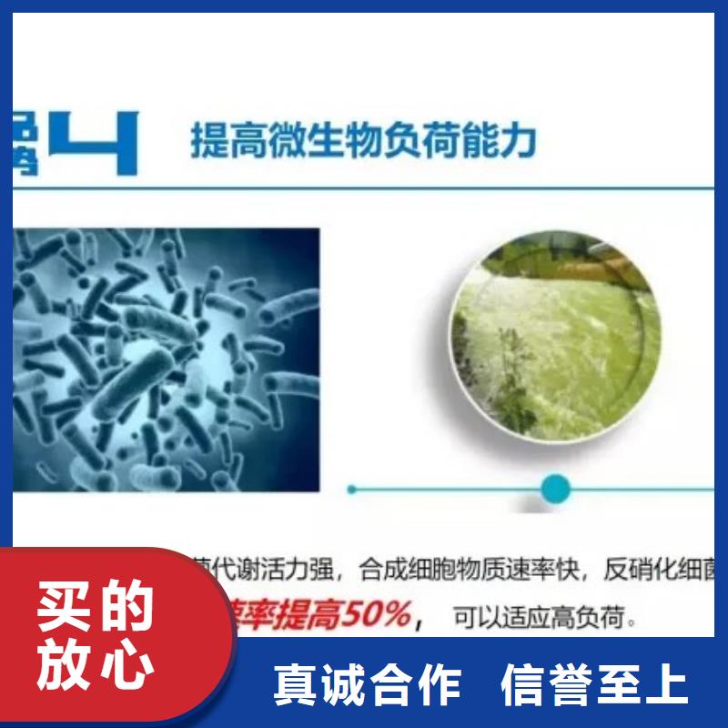 碳源型号全