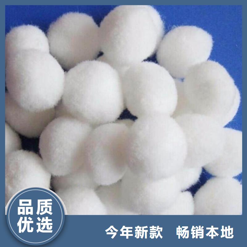 改姓纤维球厂家直供