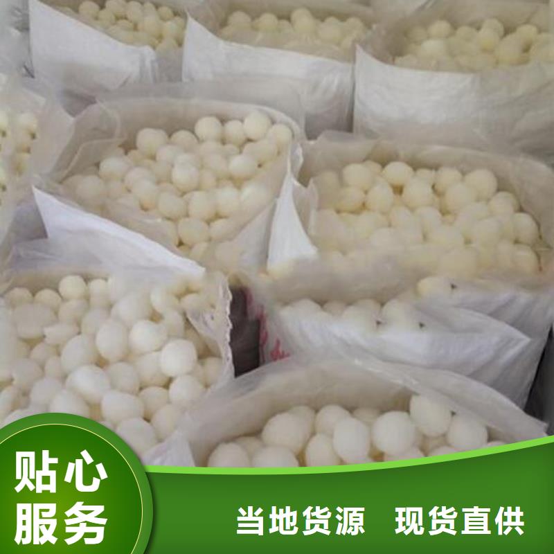 改姓纤维球厂家直供