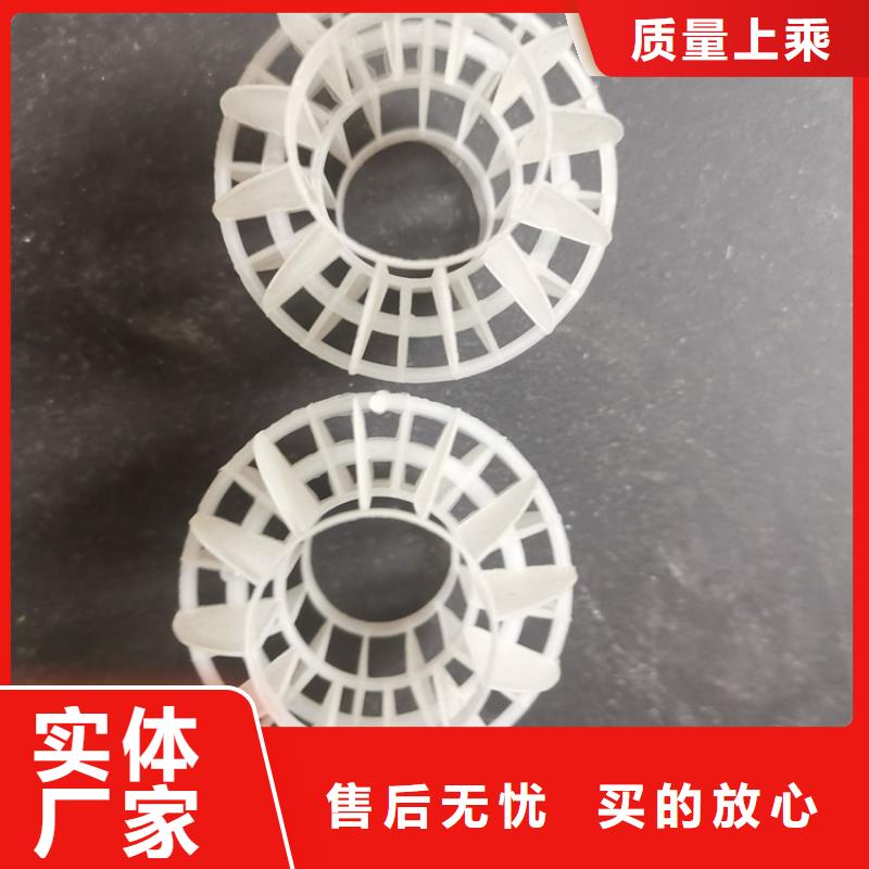 空心球鲍尔环来图来样定制