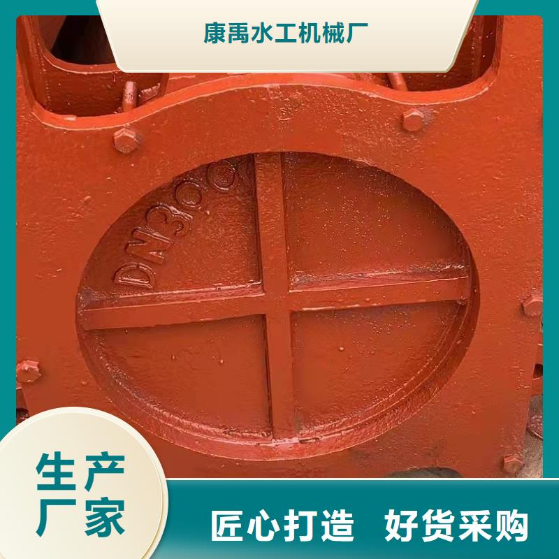 铸铁闸门价格低