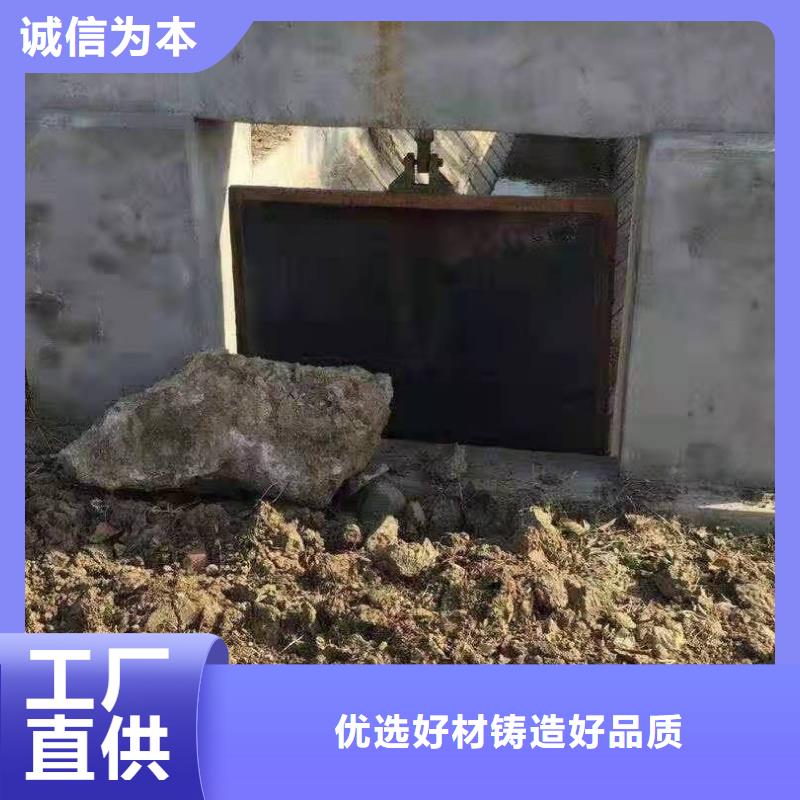 水库铸铁闸门厂家供货