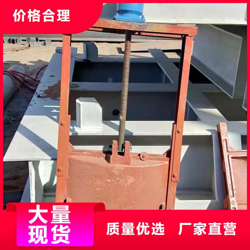 铸铁拍门厂家直销