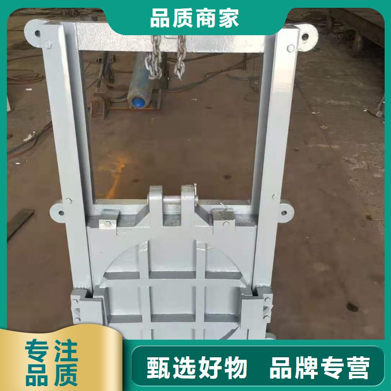 水库铸铁闸门厂家供货