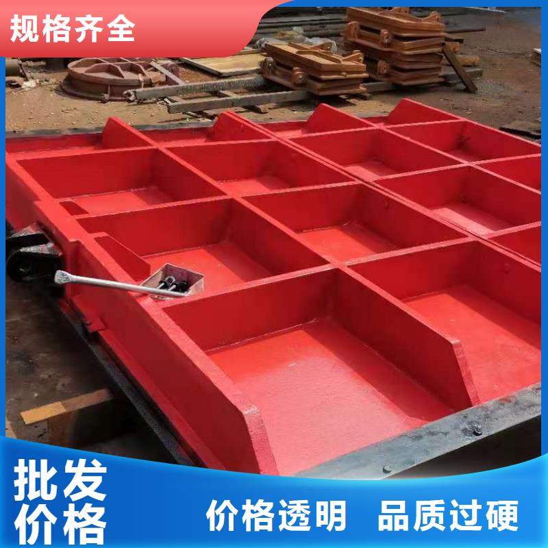 复合闸门工厂直销