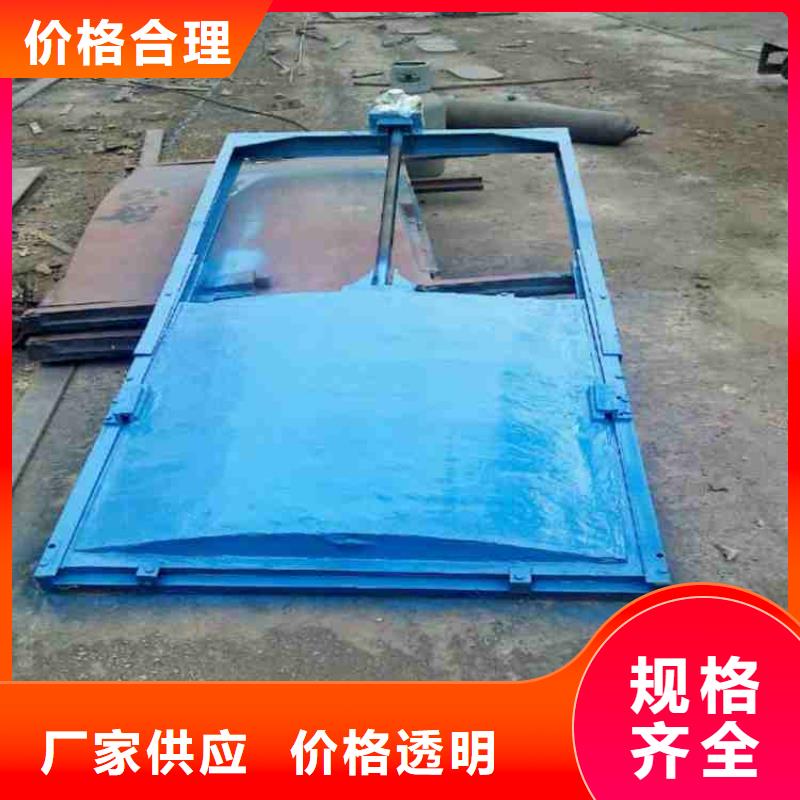  铸铁闸门实力大厂家
