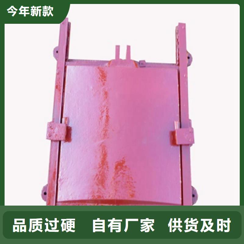 复合闸门工厂直销