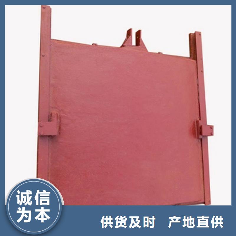 【铸铁闸门清污机买的放心】
