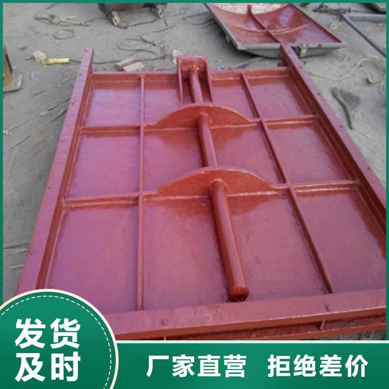 复合闸门工厂直销