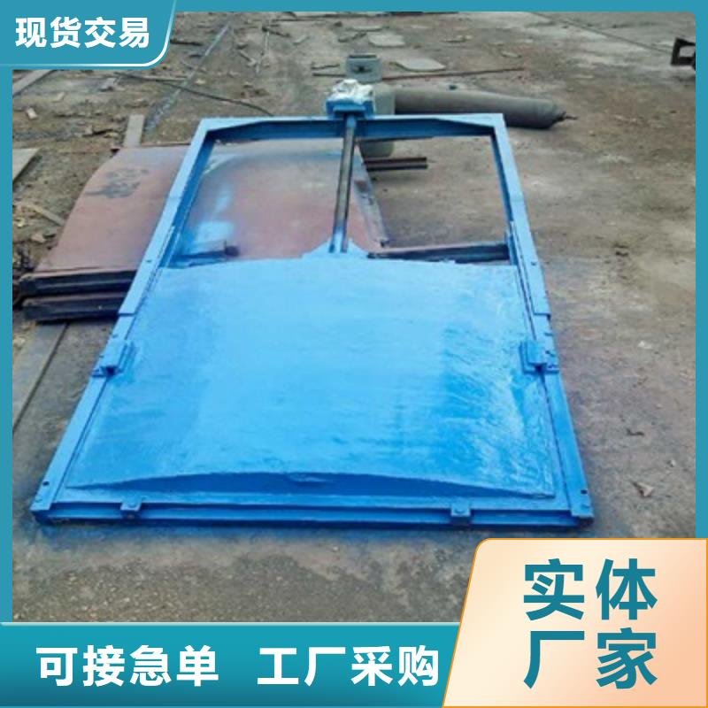 【铸铁闸门清污机买的放心】