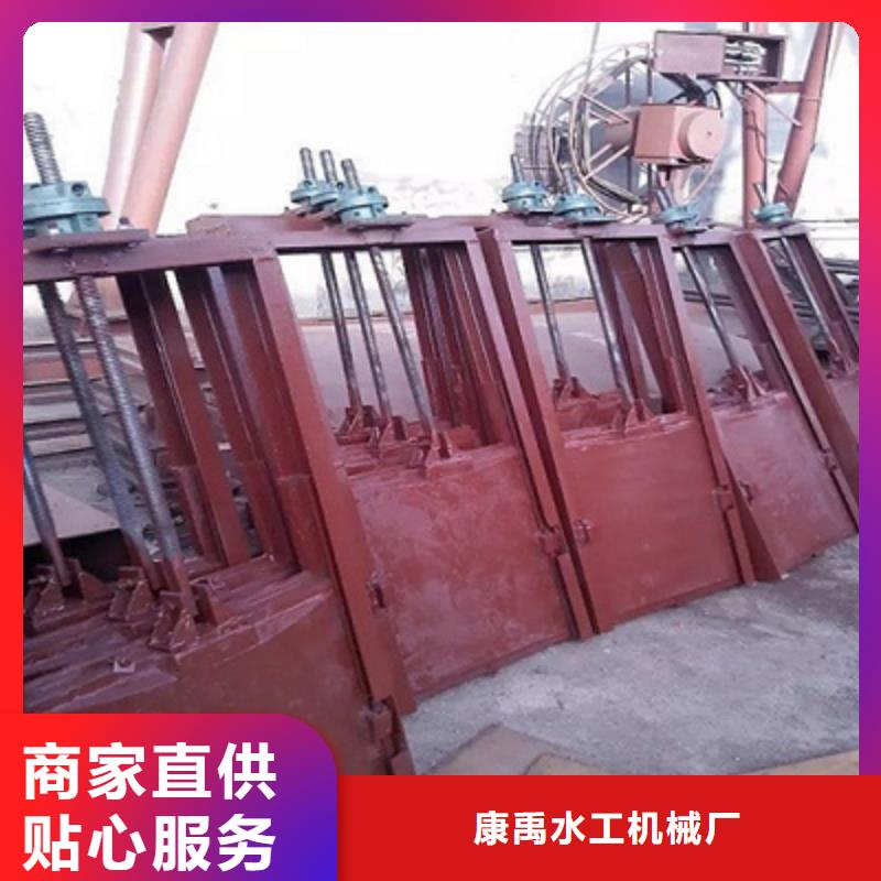 【铸铁闸门清污机买的放心】