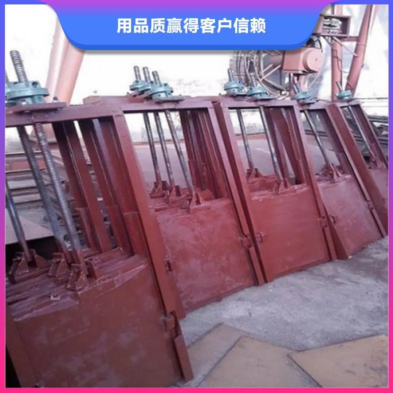 复合闸门工厂直销