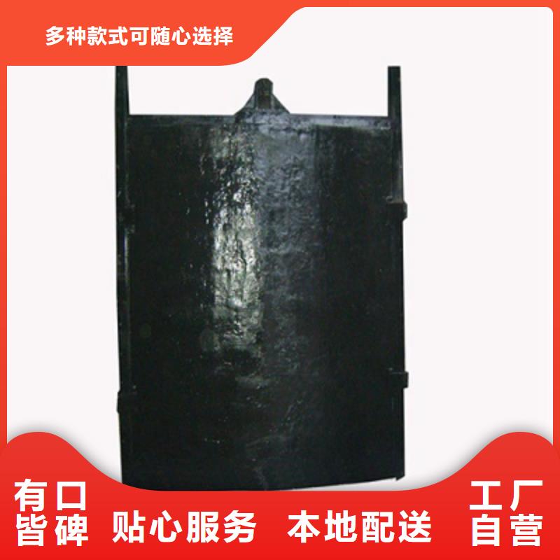 复合闸门工厂直销