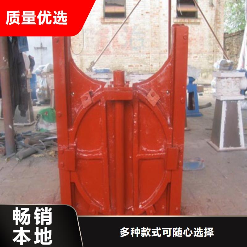 【铸铁闸门清污机买的放心】