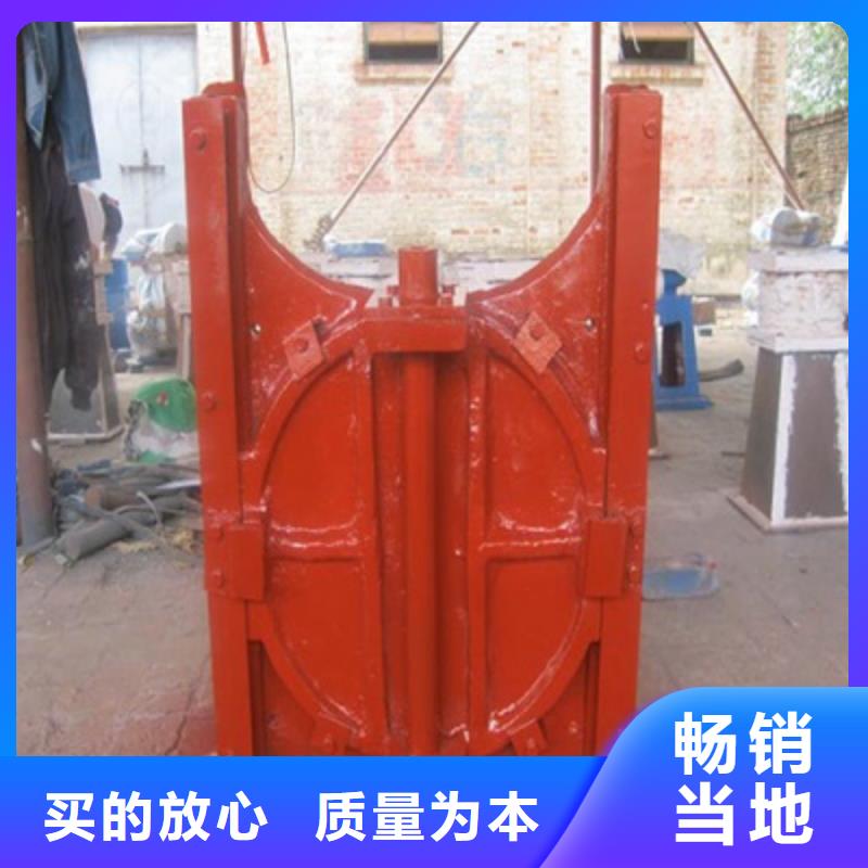 【铸铁闸门清污机买的放心】