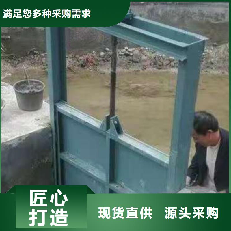 【钢闸门污水除污机品质不将就】