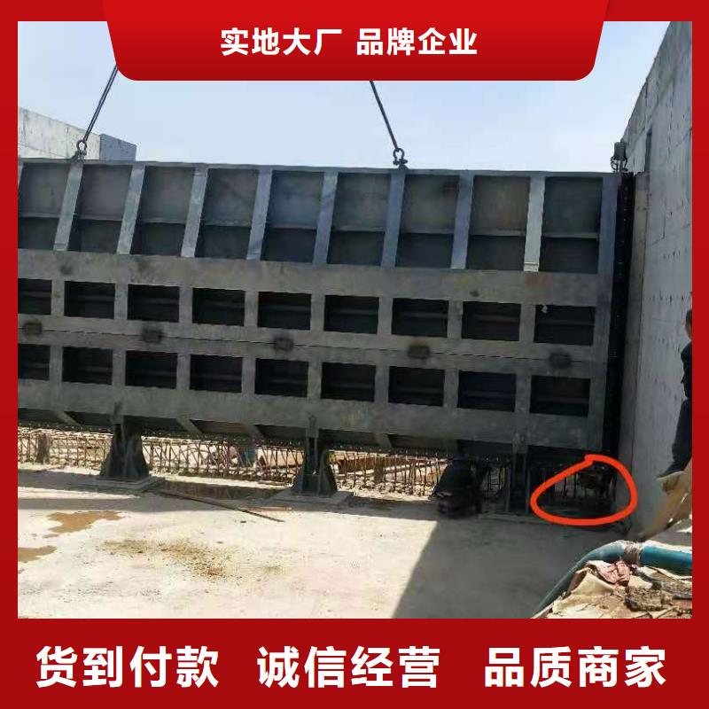 钢闸门_螺杆启闭机高标准高品质