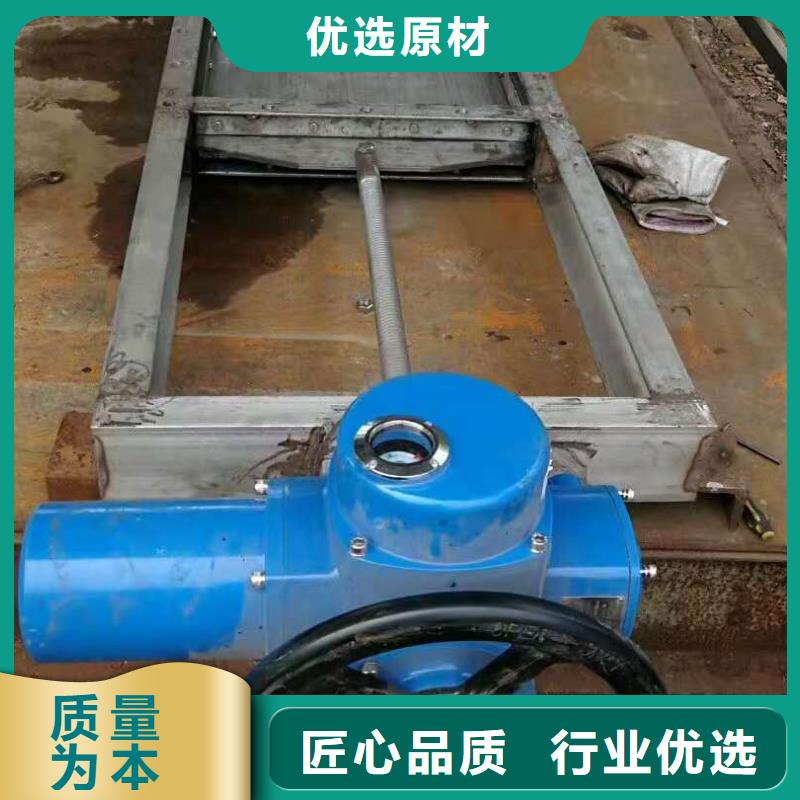 钢闸门 液压启闭机快捷物流