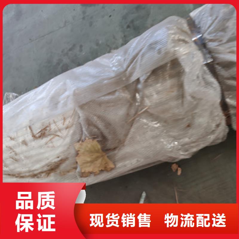 防撞栏杆