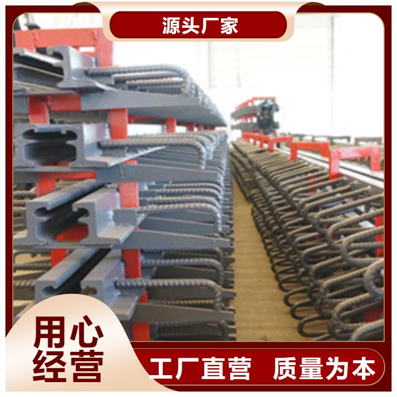 梳齿桥梁伸缩缝支持加工定制生产厂家