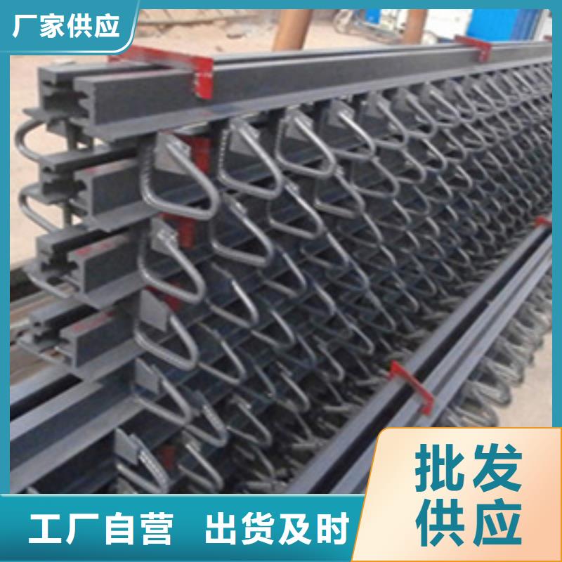 公路桥梁伸缩缝抗震性好-众拓路桥
