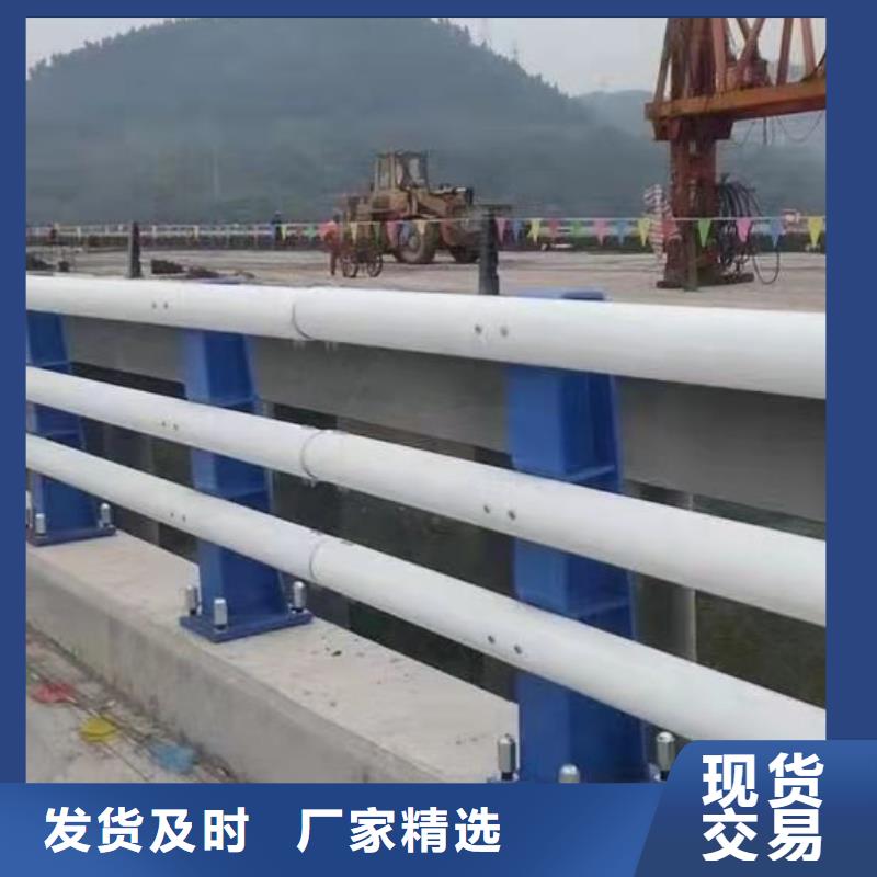 河道护栏道路护栏厂家专心专注专业