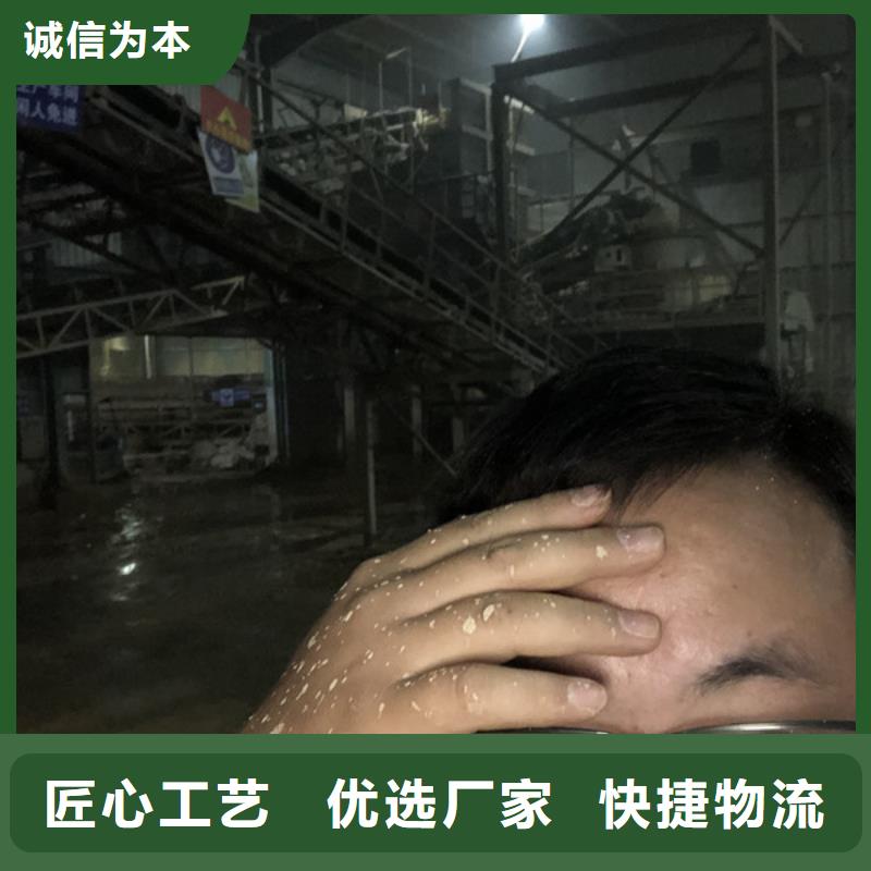 常年供应孢子聚集剂-优质