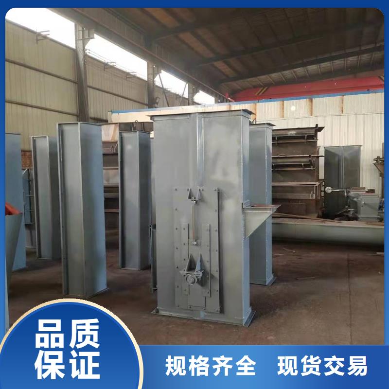 NE30板链斗式机厂家直销