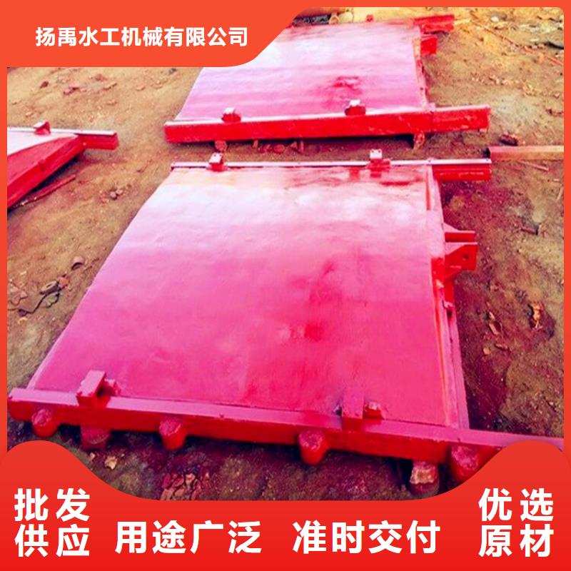 铸铁闸门-暗杆式启闭机用心制造