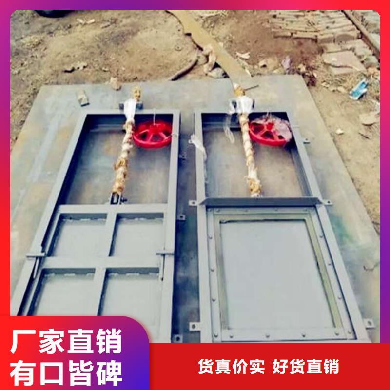 平果铸铁拍门现货供应