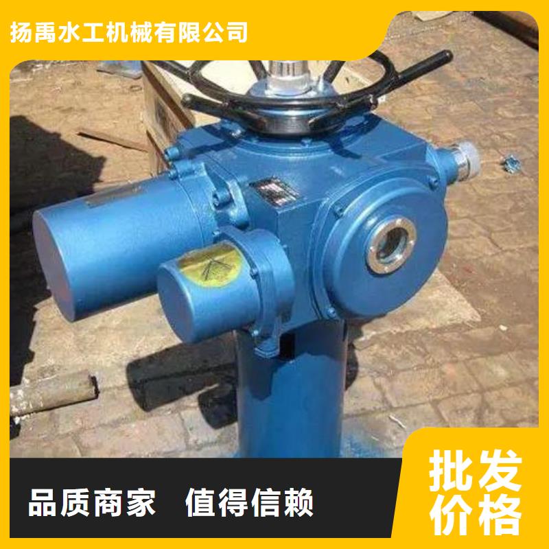 【螺杆启闭机球墨铸铁闸门符合标准】