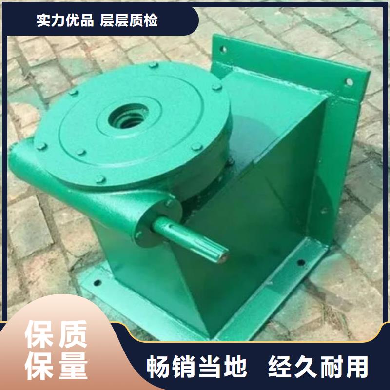 QL-100KN-SD手电两用启闭机价格优惠